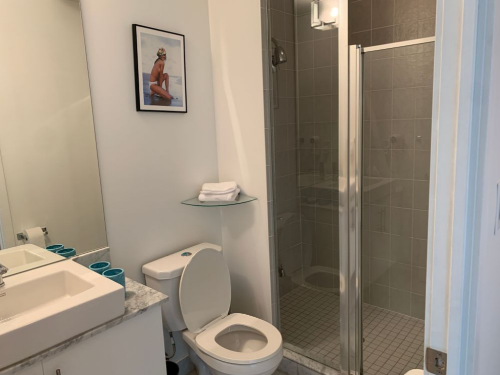 High-End Furnished Condo in Maple Leaf Square — City Views & Luxury Amenities