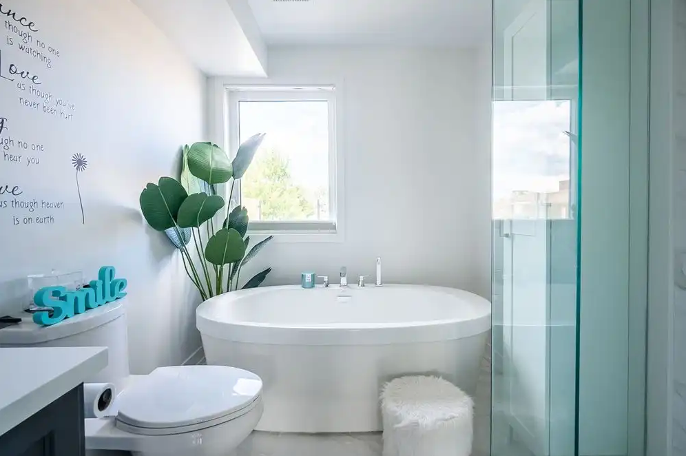 Stylish 3-Story Furnished Detached Home in York — Balcony, Terrace & Prime Location